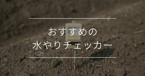 おすすめの水やりチェッカー｜選び方や種類 